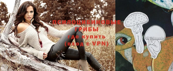 крисы Абаза