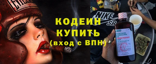 крисы Абаза