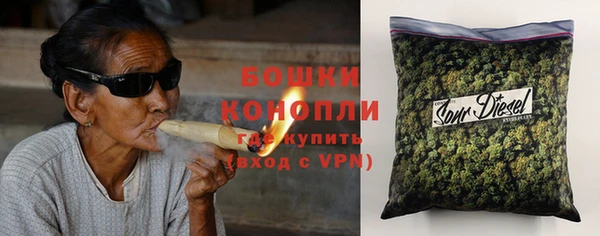 крисы Абаза